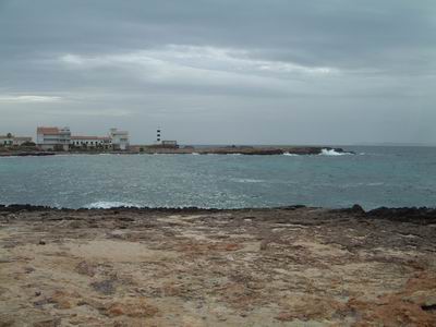 DSCF0101.JPG